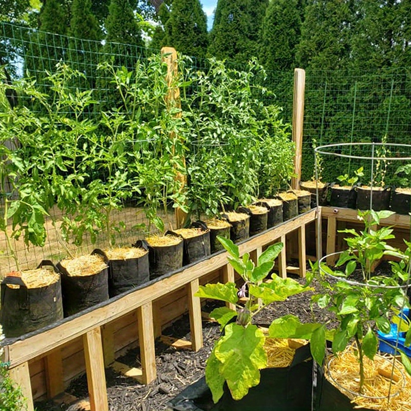 Fabric Plant Pots Grow Bags 25/30/35/40cm Gallon Gardening Vegetable Tomato  Strawberry Growing Planter Garden Planting Pots - AliExpress