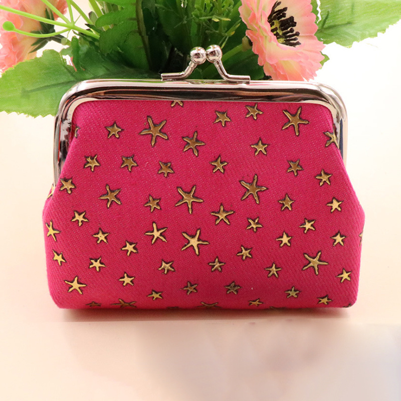 Vintage Flower Print Coin Purse, Kiss-lock Clutch Wallet, Versatile Storage  Purse - Temu