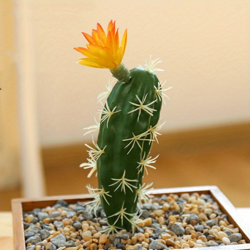 1 Stück Simulation Sukkulente Blumen, Tropischer Kaktus, Künstliche  Pflanzen Grüner Kunststoffkaktus - Haushalt & Küche - Temu Germany