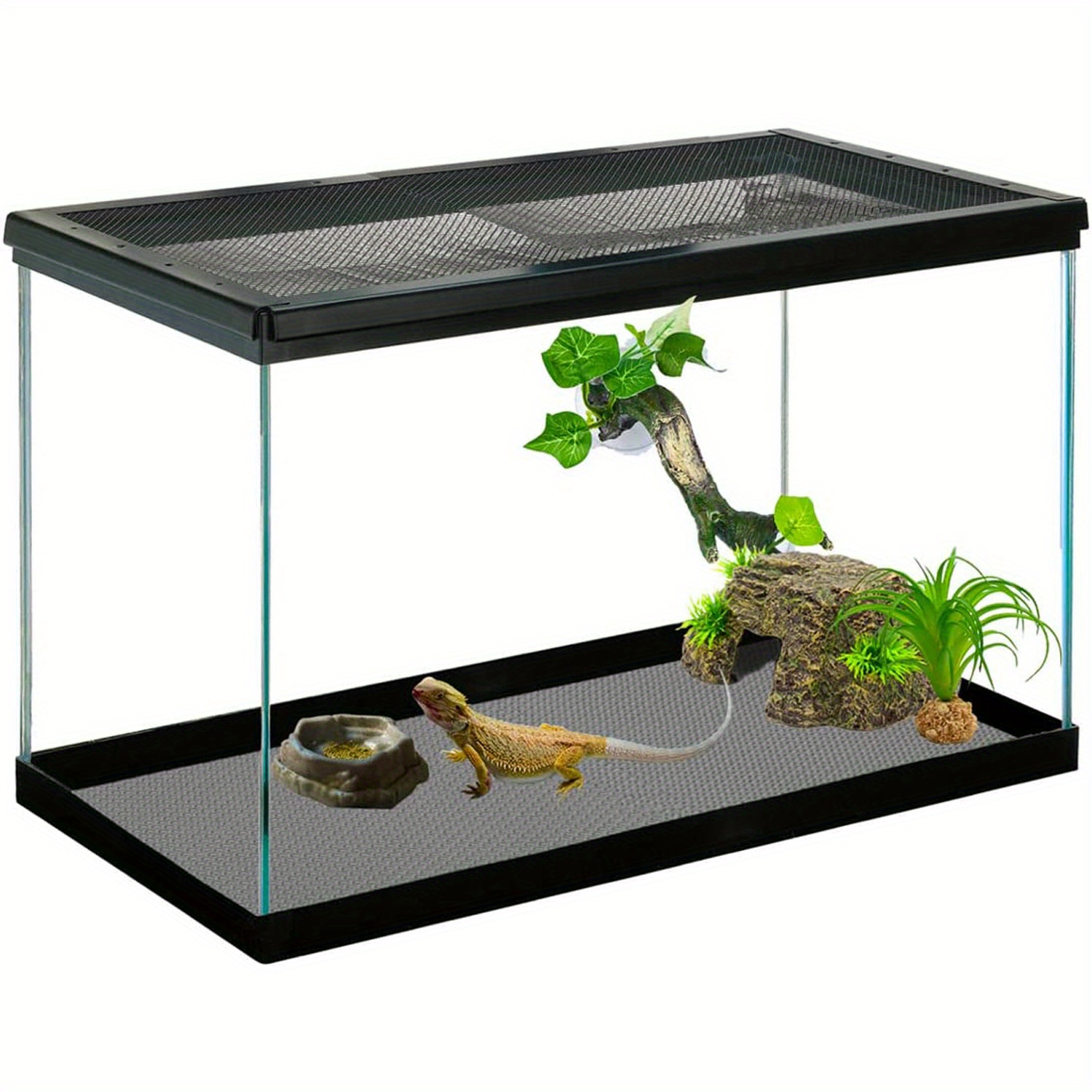 Bearded dragon tank clearance supplies