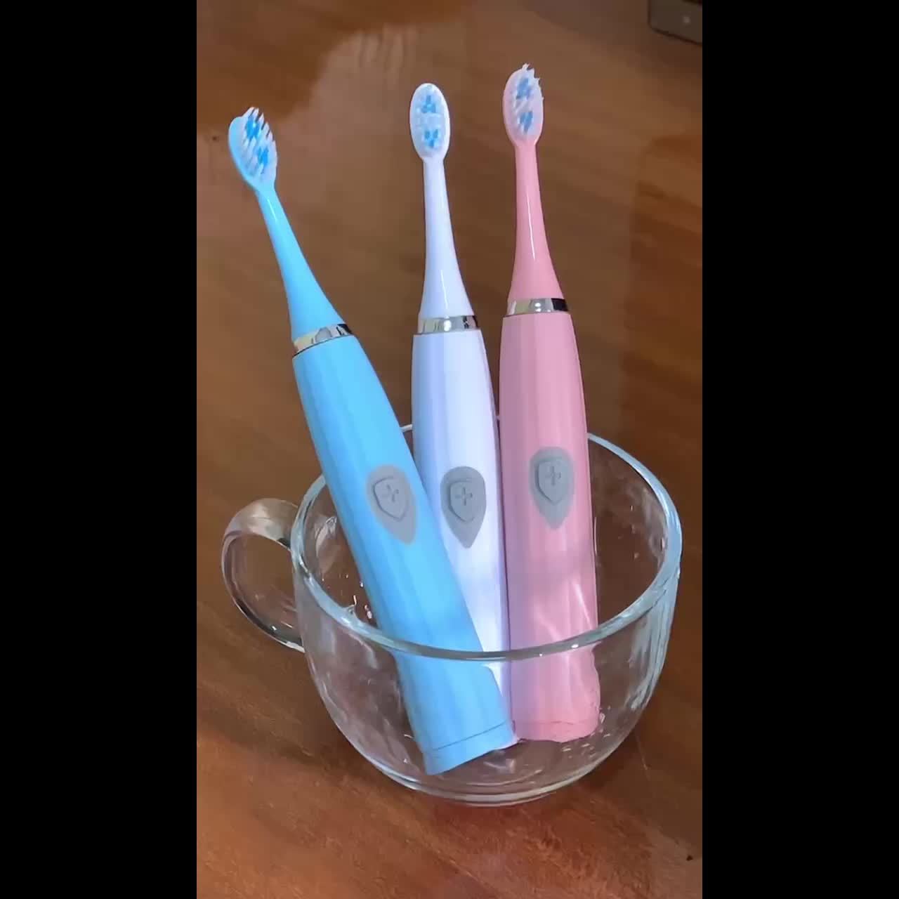 Travel-Friendly Electric Toothbrush with Interchangeable Brush Heads