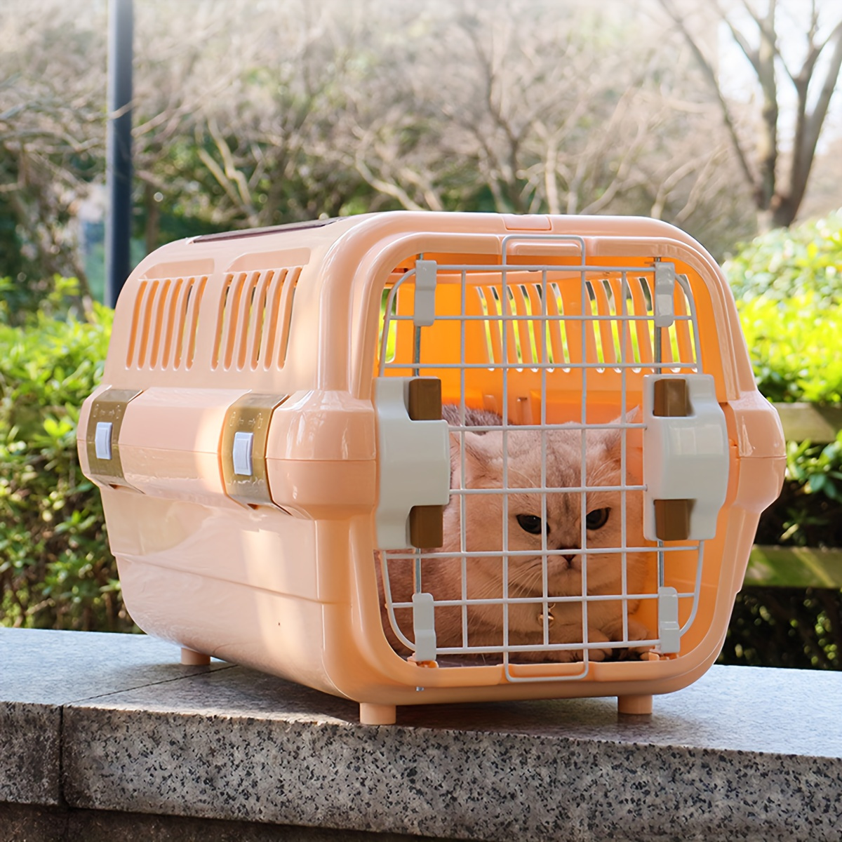 Porte-chat Portable Cage Pour Chat Approuvée Par La Compagnie Aérienne Cage  Pour Chat Portable - Temu Belgium