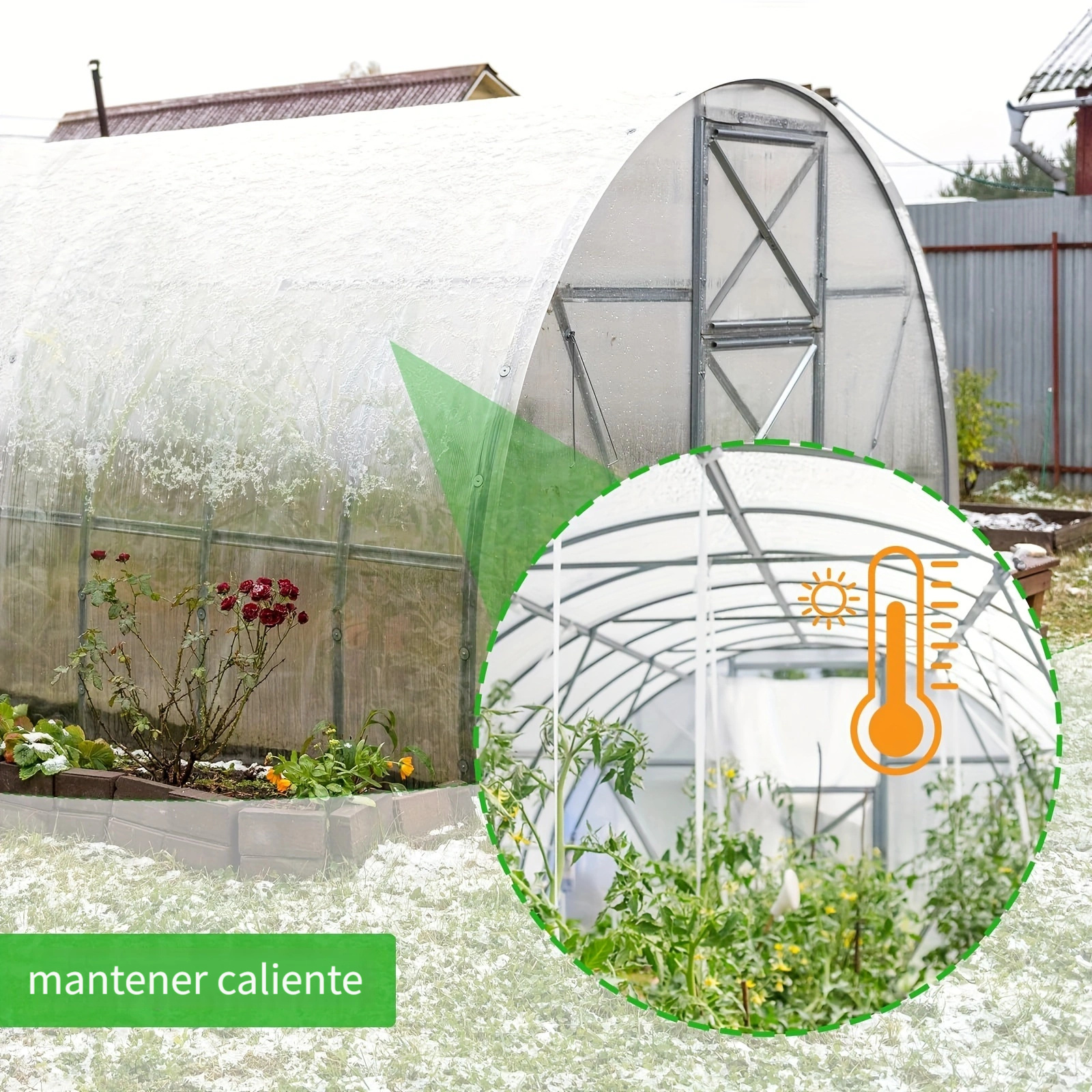 Meanchen Cubierta de plástico para invernadero: película de casas verdes de  6.5 x 10 pies, cubierta de plástico de jardín de 0.2 fl oz de grosor
