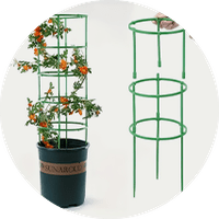 Plant Support & Care Clearance