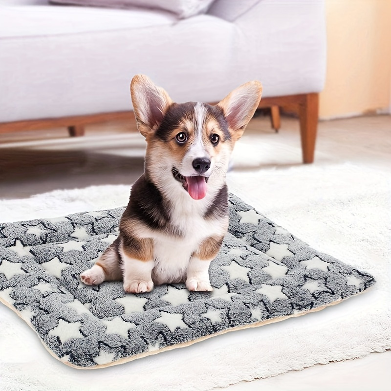 Flanelldecke, Tier-3D-Chihuahua-Hundedecke, weiche Plüsch-Bettwäsche,  Sofa-Couch-Überwurf, Decke, gemütliche Heim- und Bürodekoration, Decken