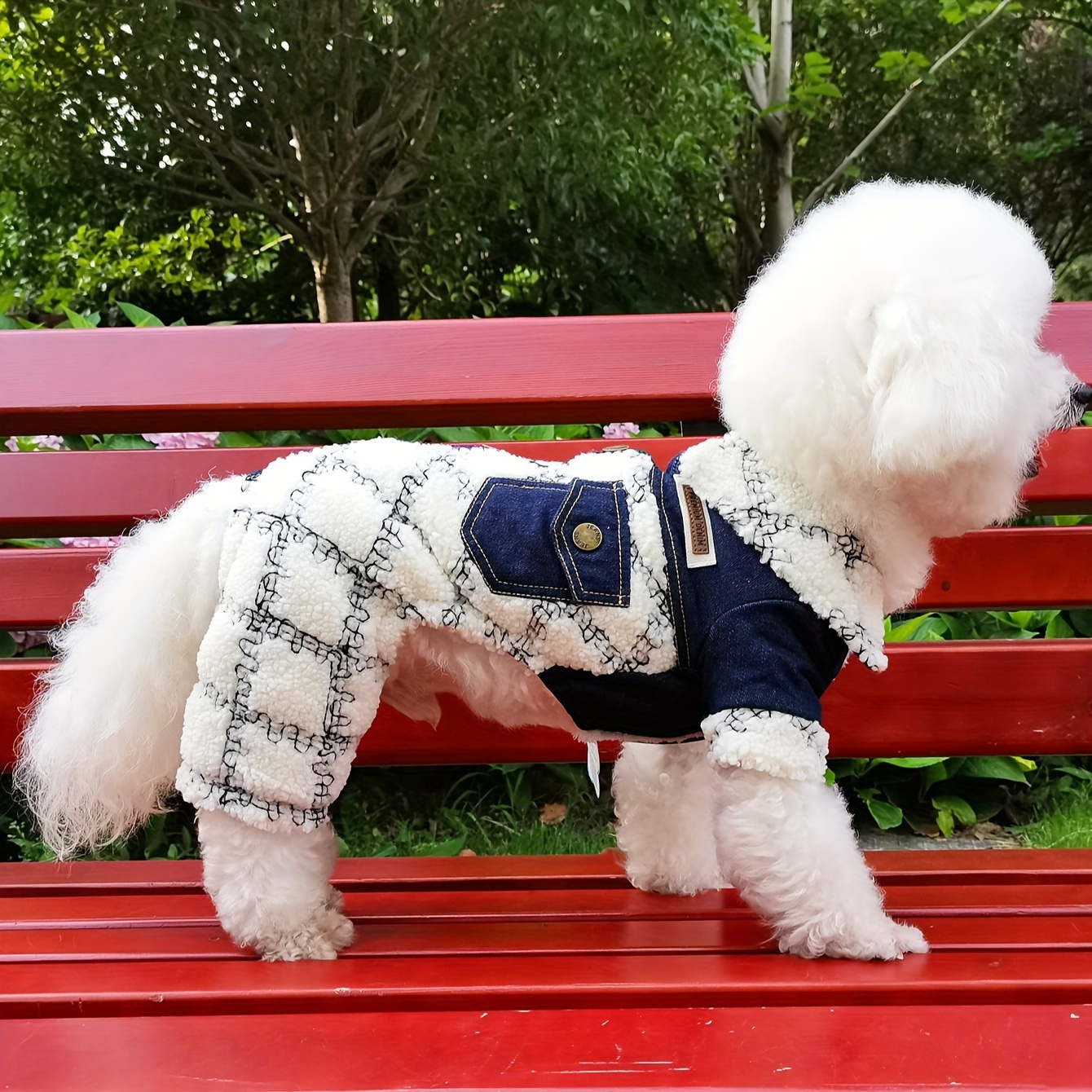 Cold weather clothes- sweater or full onesie needed? : r/poodles