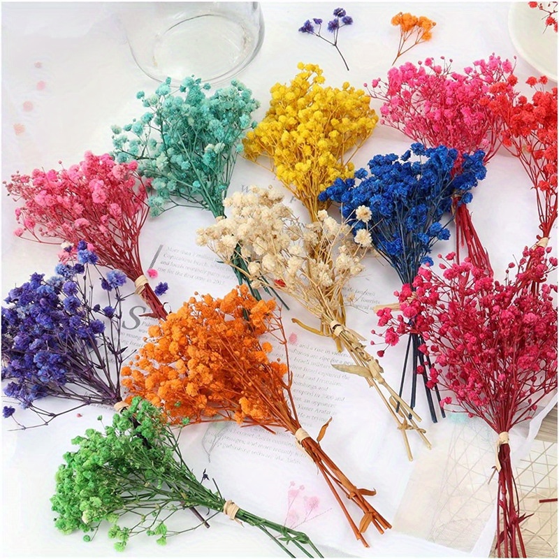ZHWKMYP 6 Pcs Dried Flowers for Crafts, Mini Dried Flowers with Stems for  Crafts Bulk, Dried Flowers for Vase