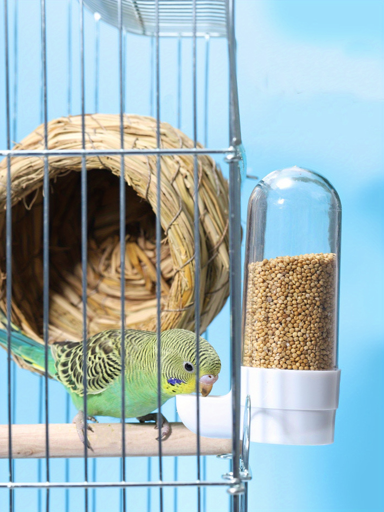 Bird Water Feeder Parrot Automatic Feeder Pigeons Hanging Temu Australia