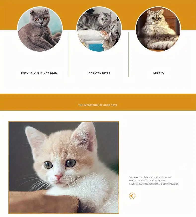 1pc foldable rainbow cat toy interactive drill bucket breathable plastic multi functional indoor outdoor cat playhouse with multiple color options cat playhouse indoor vibrant pet accessory durable pet item details 2