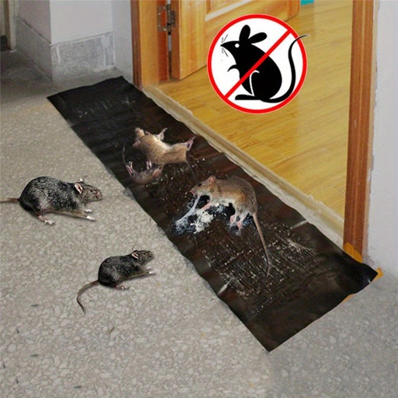Rat Traps That Work Indoors and Out (6 Pack) Catch Rats, Mice, and Voles  Fast with