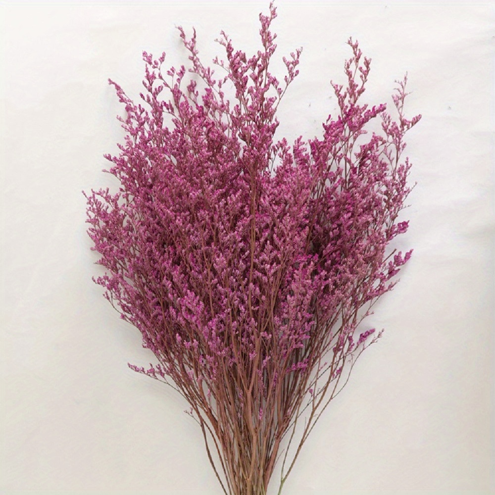 Dried Linium Bunch Dried Flowers Dried Plants Filler Flowers 