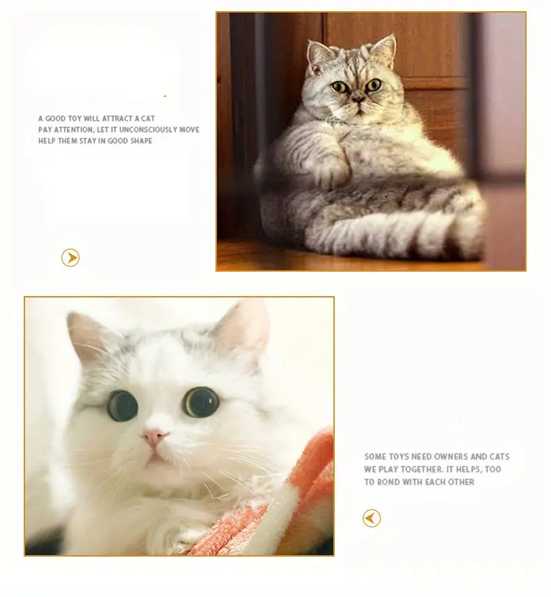 1pc foldable rainbow cat toy interactive drill bucket breathable plastic multi functional indoor outdoor cat playhouse with multiple color options cat playhouse indoor vibrant pet accessory durable pet item details 3