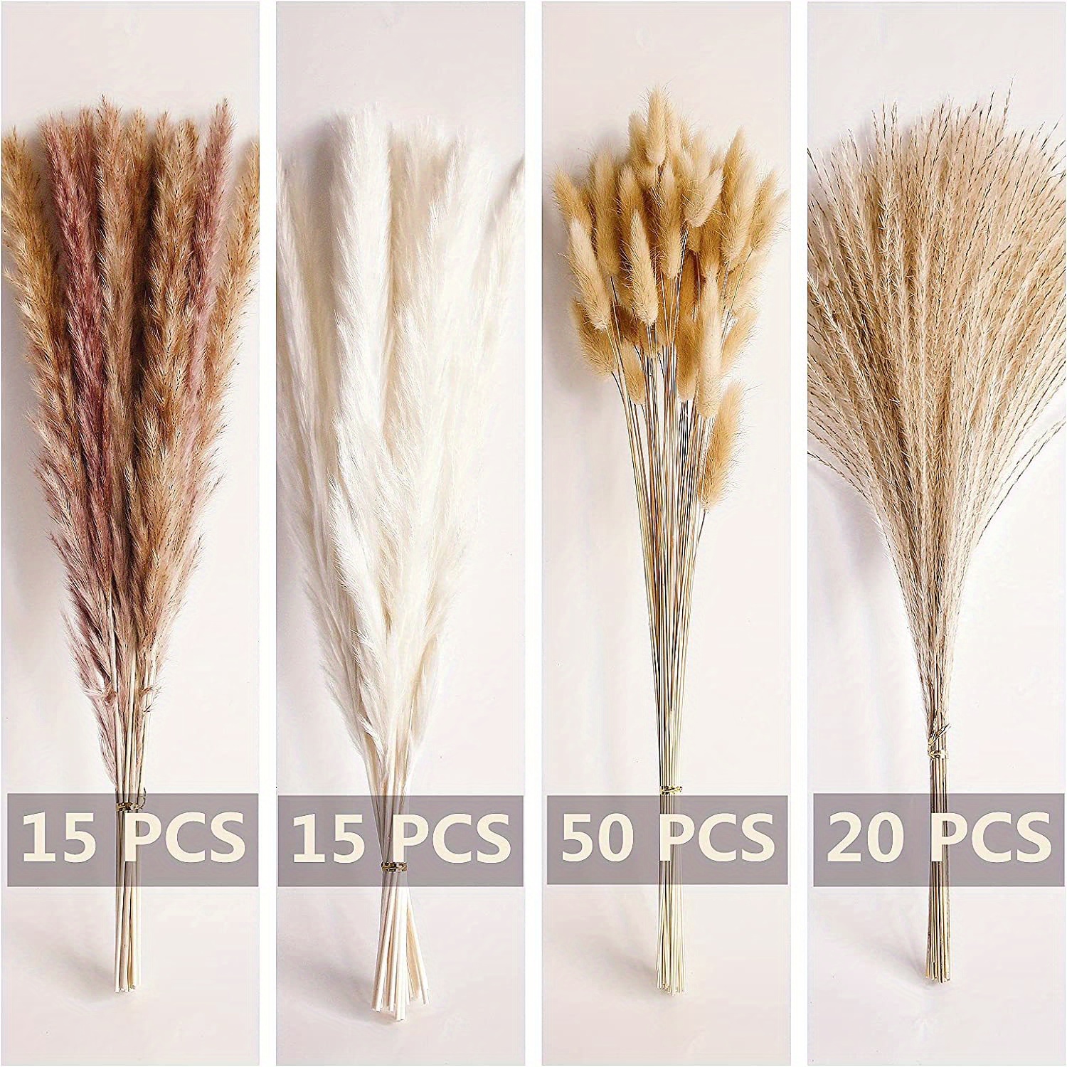 Dried Pampas Grass Decor Beige Pampas Grass Bunny Tails Temu