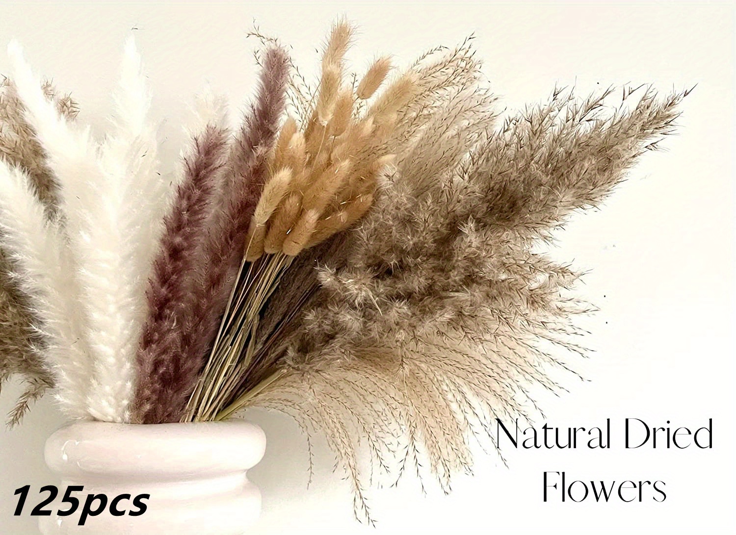 Dried Pampas Grass Decor Beige Pampas Grass Bunny Tails Temu