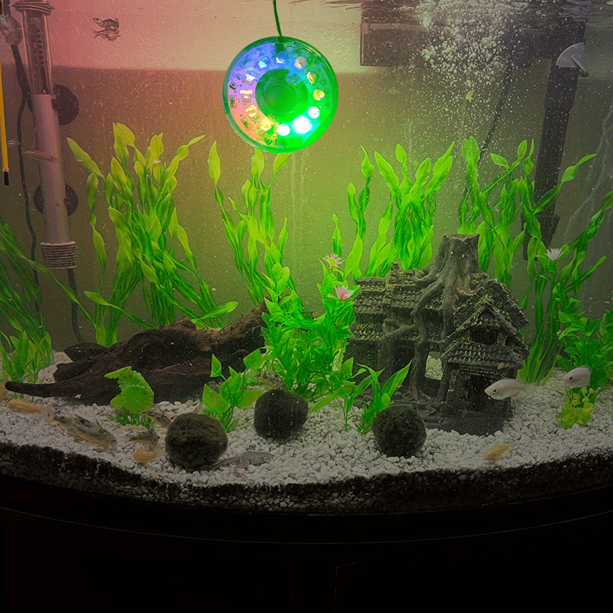 1pc/2pcsの魚の水槽ライト RGBカラー変化 水中潜水LEDライト USB充電 ...