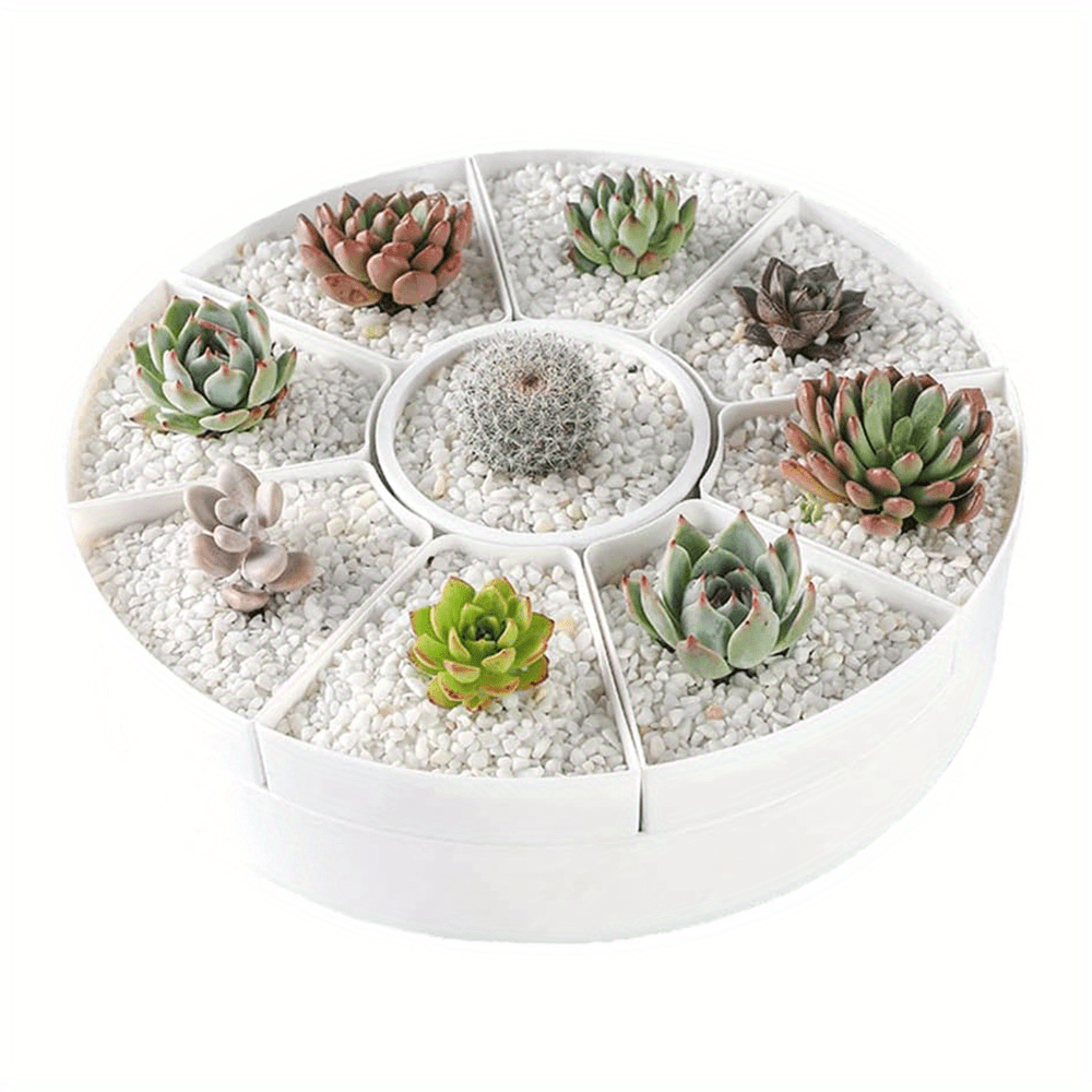 1pc Vasi Piante Grasse Bianche, Vaso Fiori Rotondo Lungo E Rotabile, Vaso  Piante Grasse Piattino Drenaggio Decorazione Interna Esterna Giardino E  Patio, Forniture Casa, Acquista Ora Offerte A Tempo Limitato