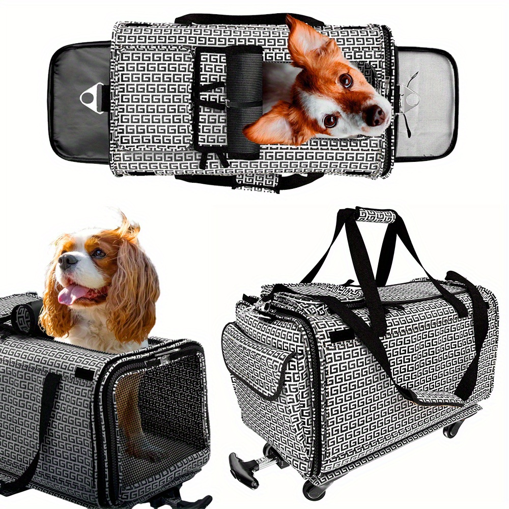 What Are The Requirements For An Airline Approved Pet Carrier For