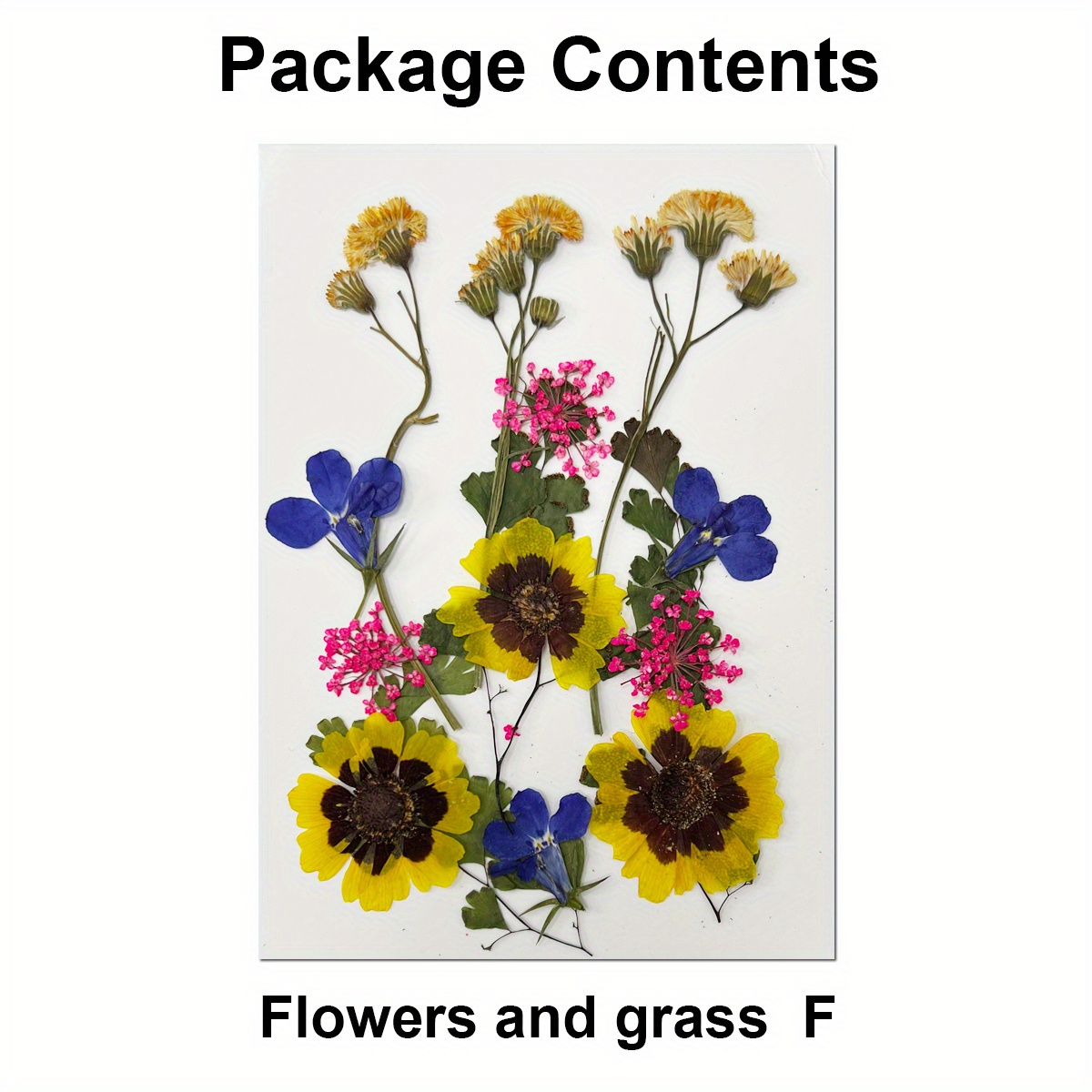 DIY Dried Flower Material Real Pressed Dry Flowers & Leaves Kit