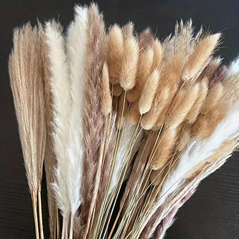 Autumn Color Bouquet Natural Pampas Grass Flower - Temu