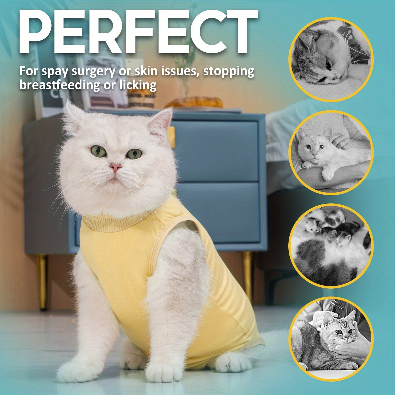 1pc Cat Recovery Suit For Abdominal Wounds Cat Surgery Recovery Suit For  Cats After Surgery Cat Spay Recovery Suit Cat Onesie For Cats After Surgery  Cat Surgical Recovery Suit