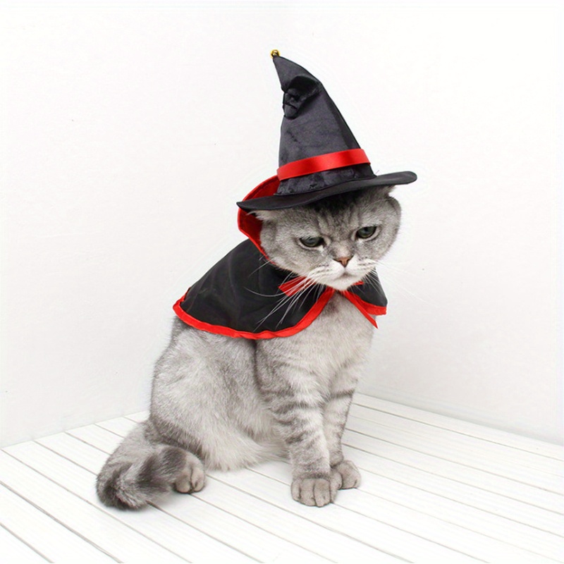 Vampire kitty outlet costume