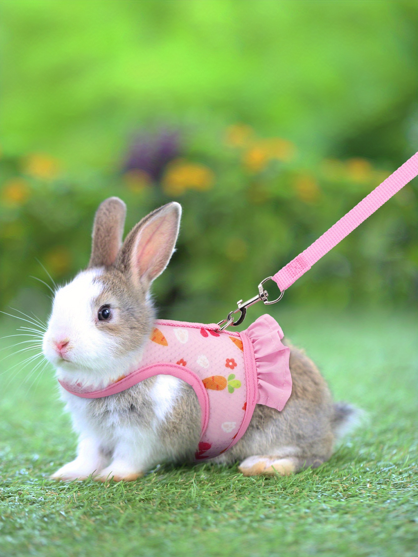 Pet Chest Back Set Rabbit Harness Leash Walking Escape Proof