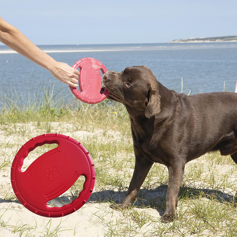 Dog Training Toys Outdoor Floating Flying Dog Disc - Temu