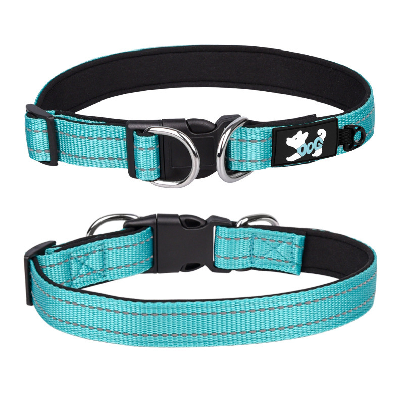 Boy puppy outlet collars