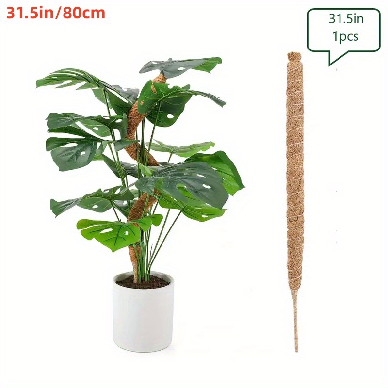 Poteau de mousse en plastique pour les plantes Monstera, poteaux de plantes  pour plantes grimpantes, support végétal pour plantes d'intérieur  Travailler avec de la mousse de sphaigne