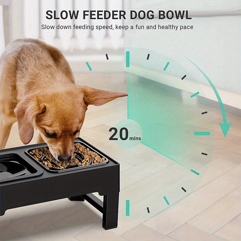 Elevate Mealtime Fun With Pet Slow Feeder Dog Bowls Anti - Temu