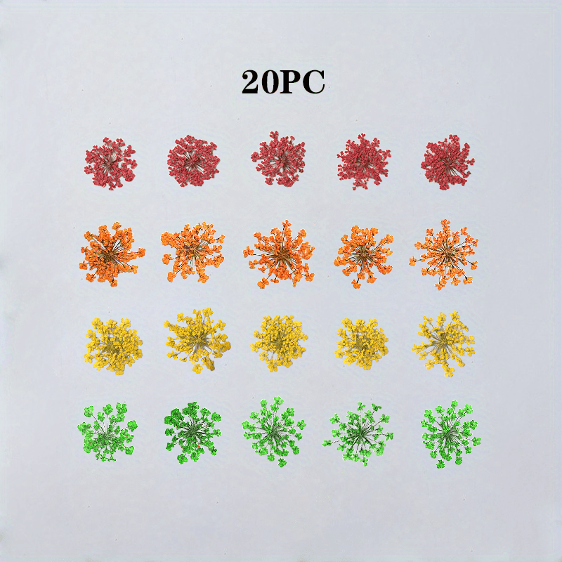 12pcs Pressed Dried Flowers For Resin Art, 3D Dried Flower Nail Decoration  Floral Sticker ,Natural Pressed Dried Flower Lace Dry Flowers For Crafts,  DIY Wedding Home Decor, Scrapbooking Gift Soap Candle Making,Colorful