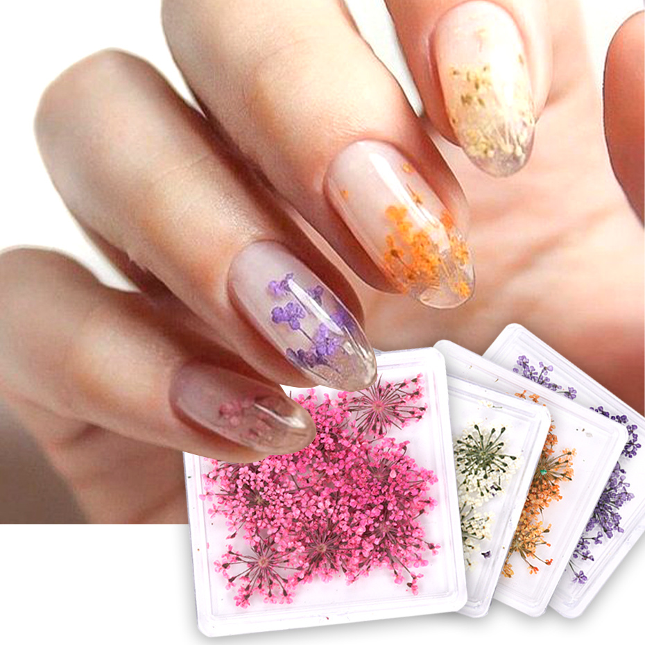 12 Color 3d Dried Flower Nail Art Charms, Dried Flower Sticker Tips For Uv  Gel/acrylic Nail Art Design,dried Flower Nail Art Jewelry For Diy Or Nail  Salons - Temu Lithuania