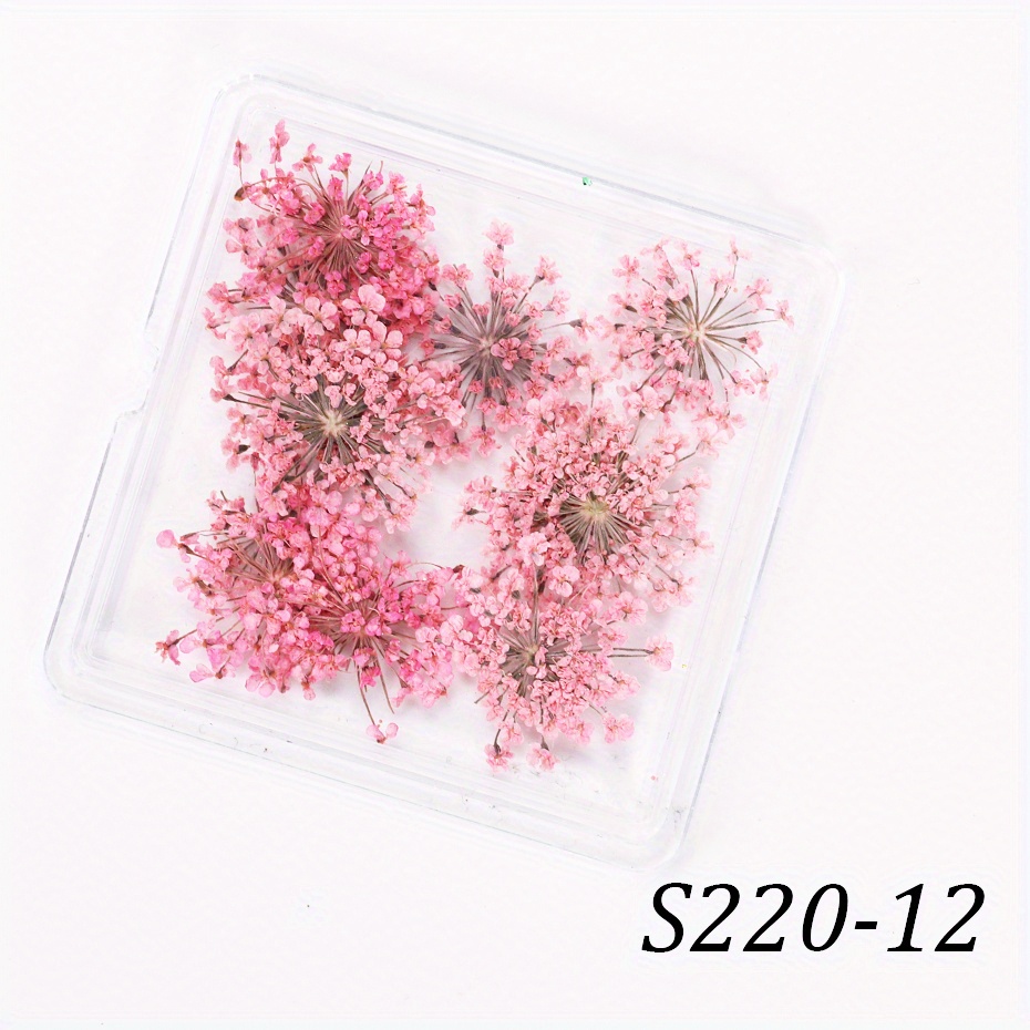 Black Friday 24pcs Y2K Aesthetic Pentapetal Dried Flower Colorful Floral 3D  Nails False Flower