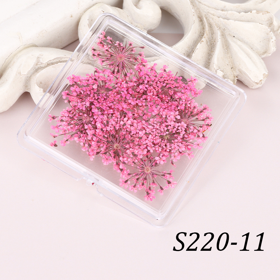 Nail Dried Flowers 3d Natural Dried Flower Nail Art Sticker - Temu