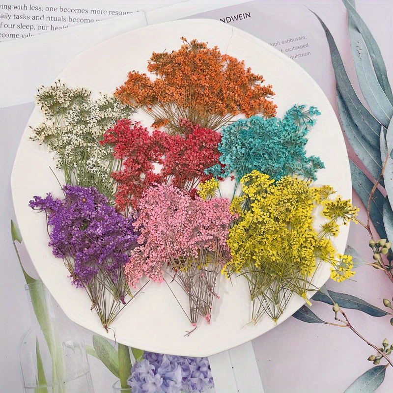 1PC Dried Flowers Natural Floral Art Craft Scrapbooking Resin