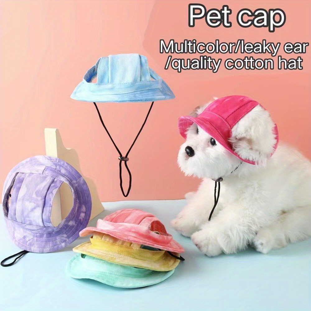 Cat in the hot sale hat dog toy