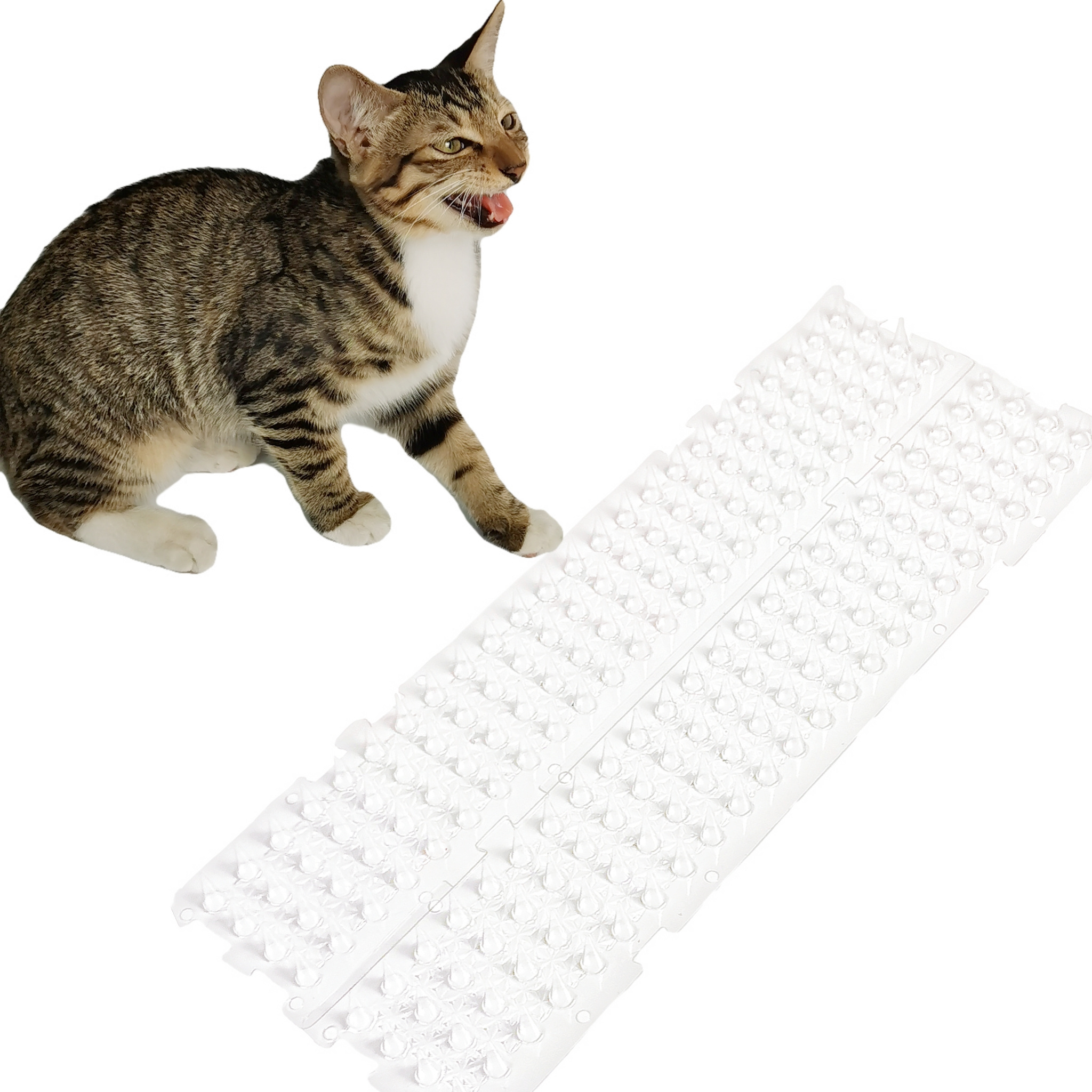 Transparent Pet Anti cat Thorn Pad Cat Deterrent Mat Spikes Temu