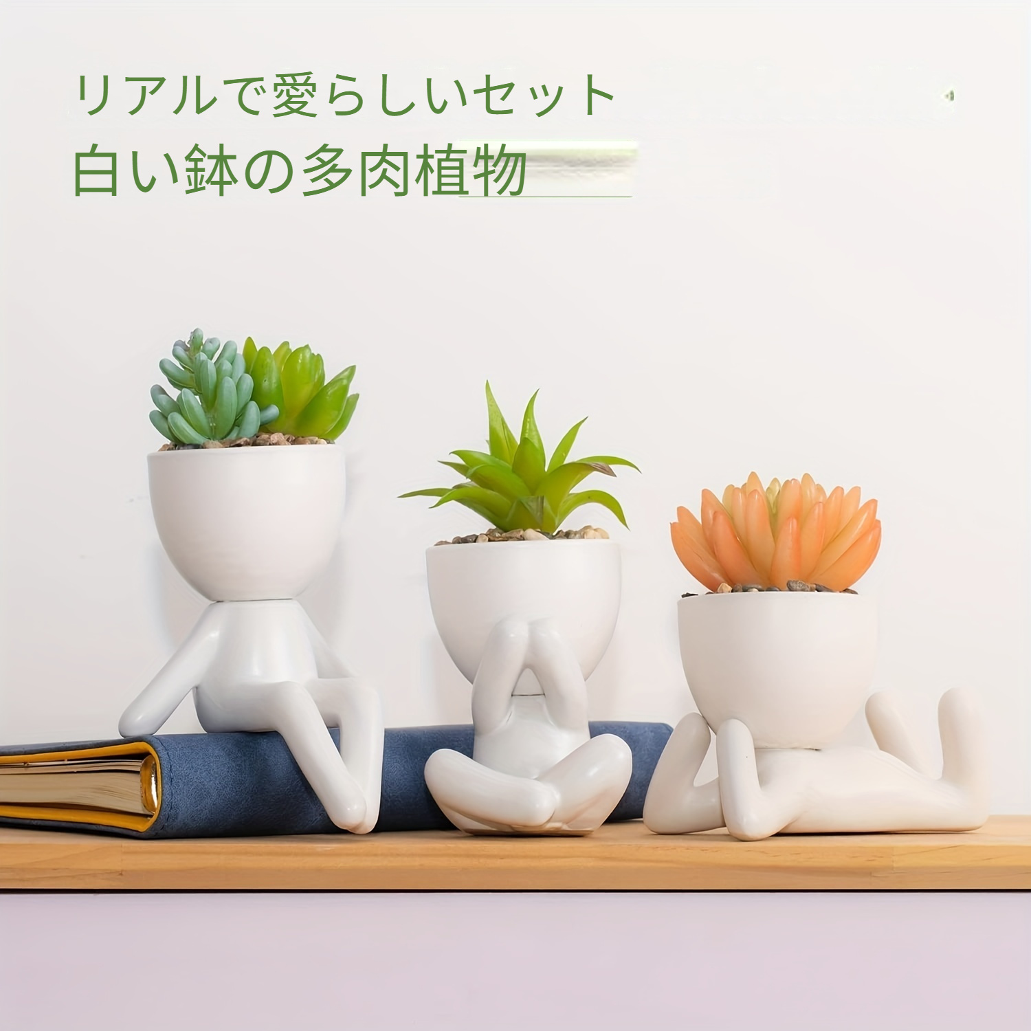 3 ピース/セット模擬多肉植物植木鉢、さまざまなリアルなミニ人工