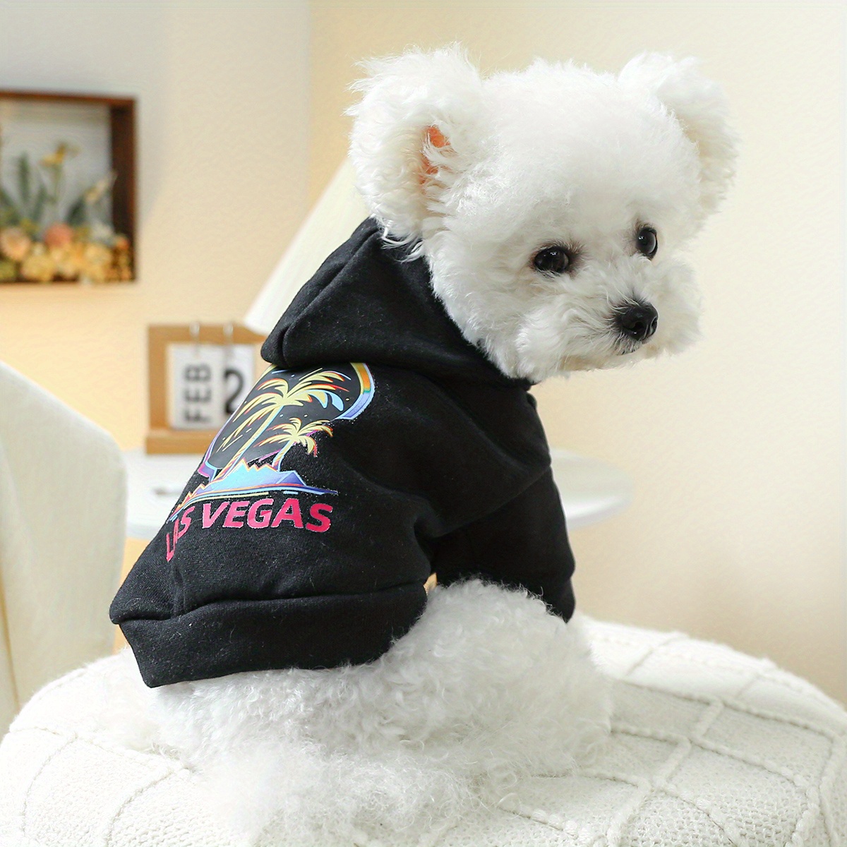 las Vegas Beach Graphic Pet Sweater For Autumn And Winter Dog Warm Clothes  - Temu Ireland