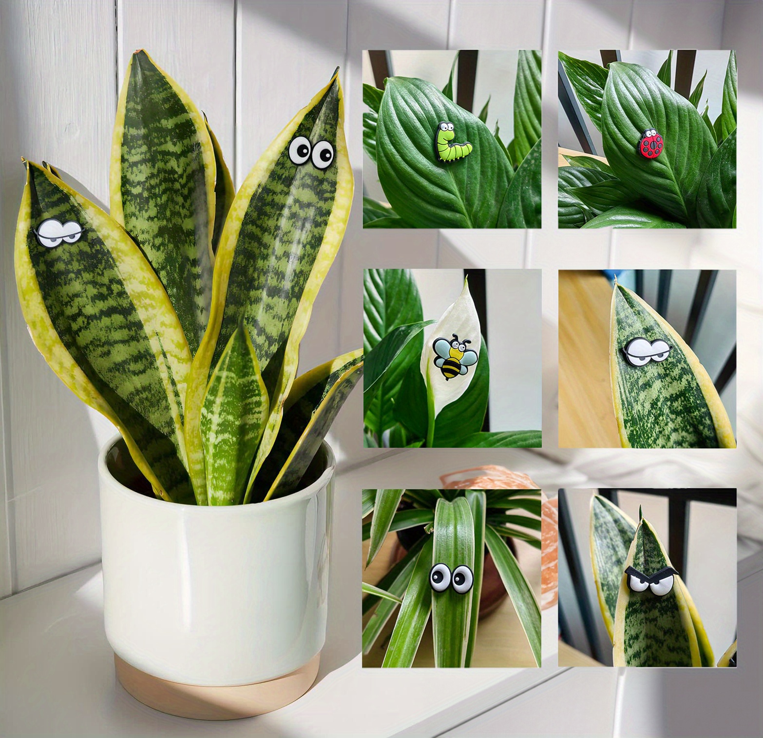 Cute Plant Cute Plant Eyes Potted Plants Temu