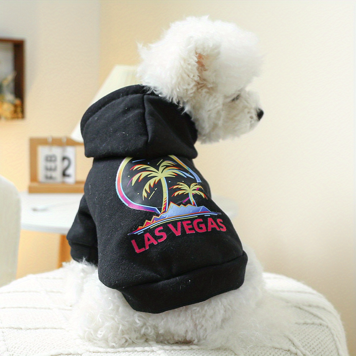 las Vegas Beach Graphic Pet Sweater For Autumn And Winter Dog Warm Clothes  - Temu Ireland