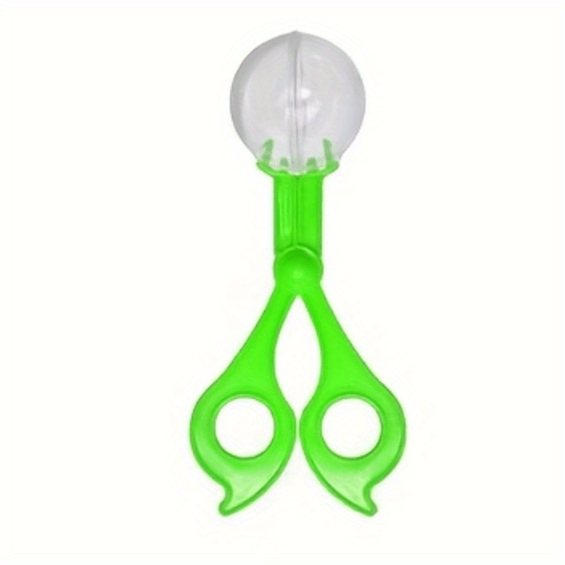 Insect Trap Handy Scoopers Bug Catcher Set Insects - Temu