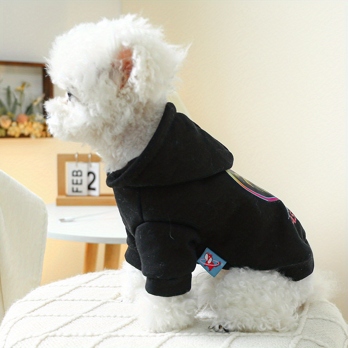 las Vegas Beach Graphic Pet Sweater For Autumn And Winter Dog