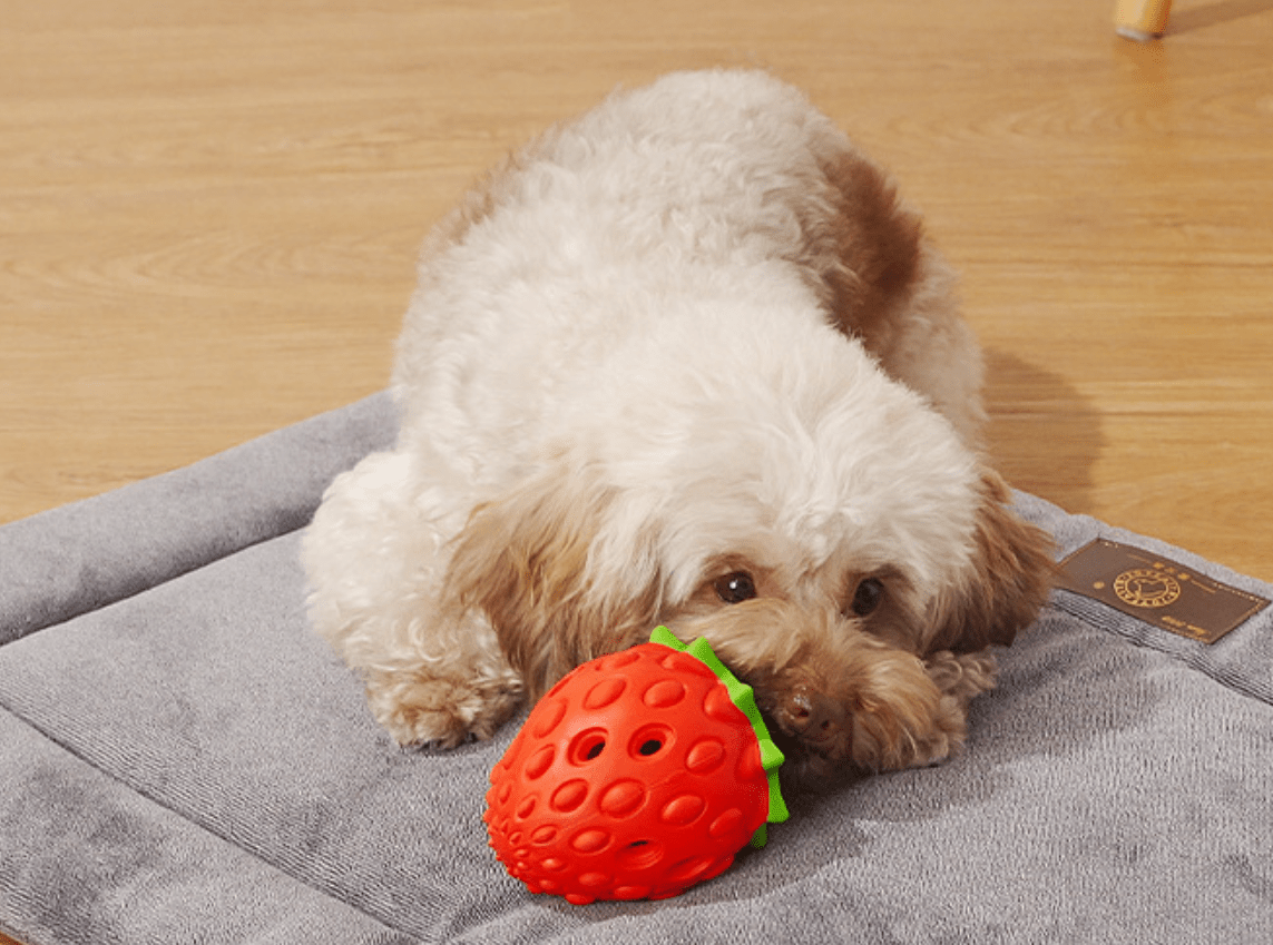 Strawberry Interactive Dog Chew Toy