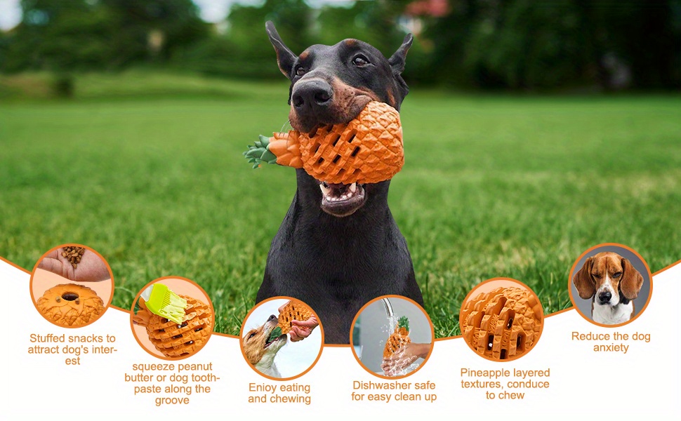 TOME DOG TOYS Anillo – Juguetes para perros para masticadores agresivos –  Juguetes sólidos de goma natural para perros medianos y grandes – Juguete