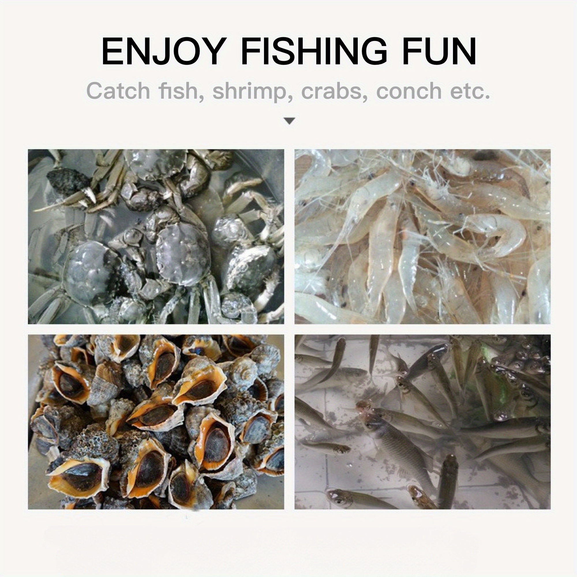 Ruilogod Dark Green 20 Foldable Crab Shrimp Fish Fishing Keepnet