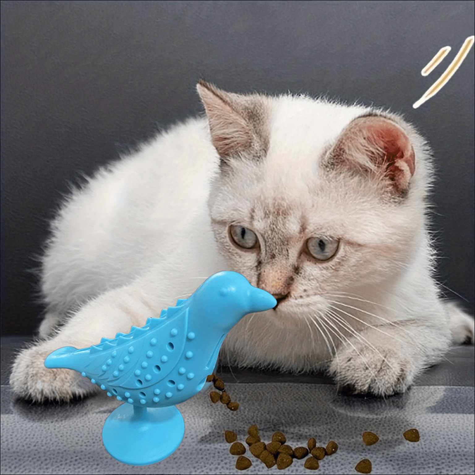 Why Cat's Need Interactive Toys - Pet Sitting