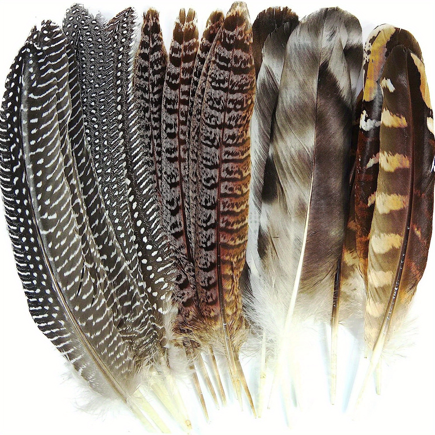 Natural Pheasant Feathers 4 Style For Diy Craft Home Party - Temu