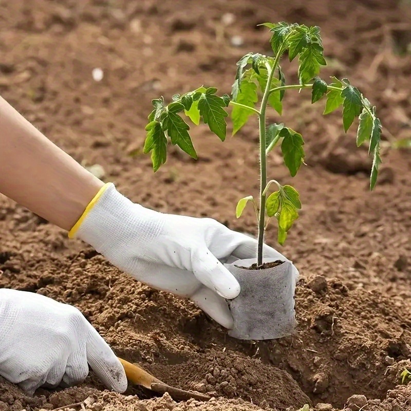 100pcs, Sacs De Pépinière De Plants De Semis Non Tissés, Pots De Plantation  En Tissu, Sacs De Culture Ventilés Pour Jardin, Fournitures De Plantation  De Jardin - Temu Belgium