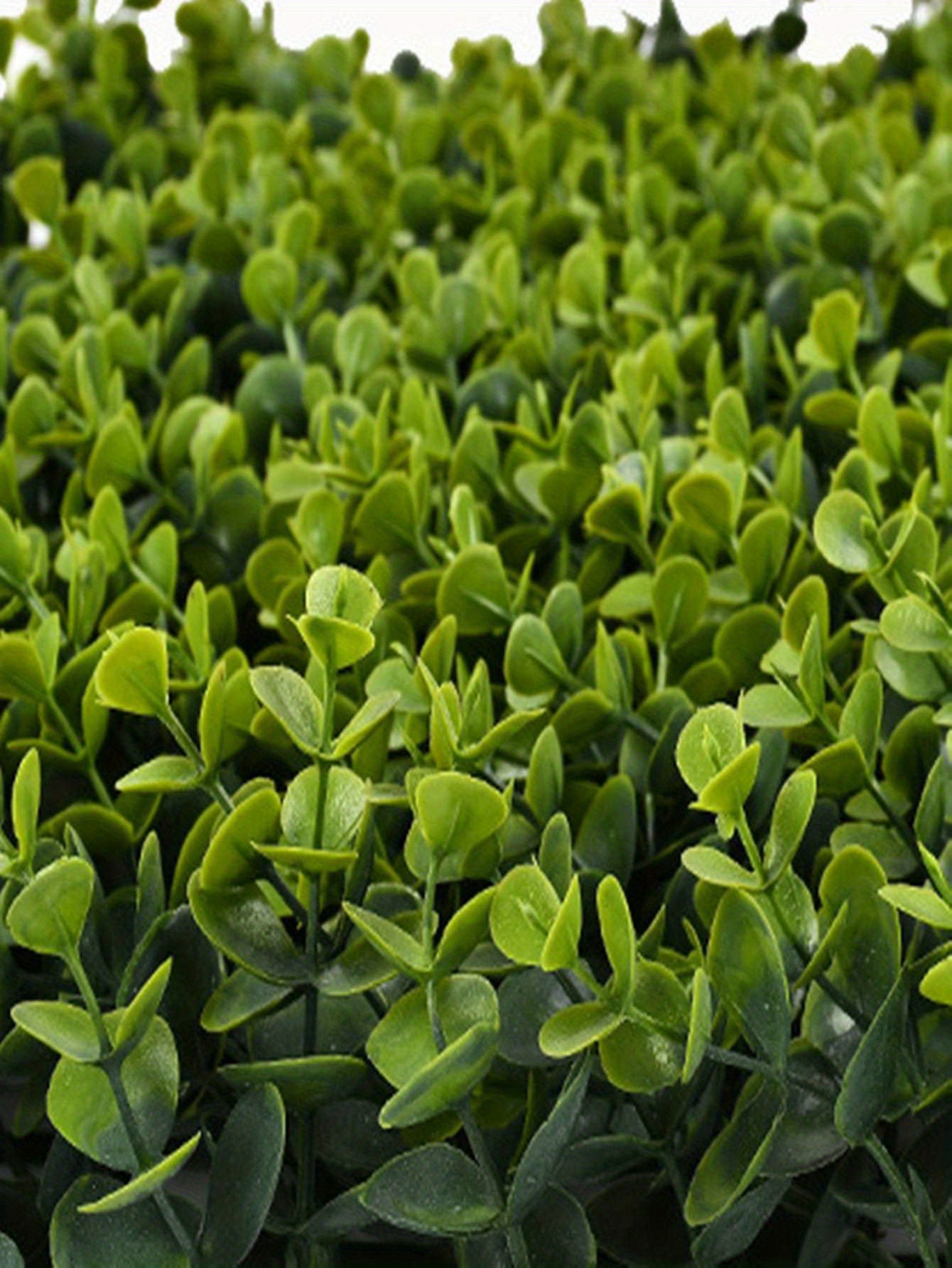 Inn Boxwood Greenery Panels Fence Covering Privacy Boxwood Temu